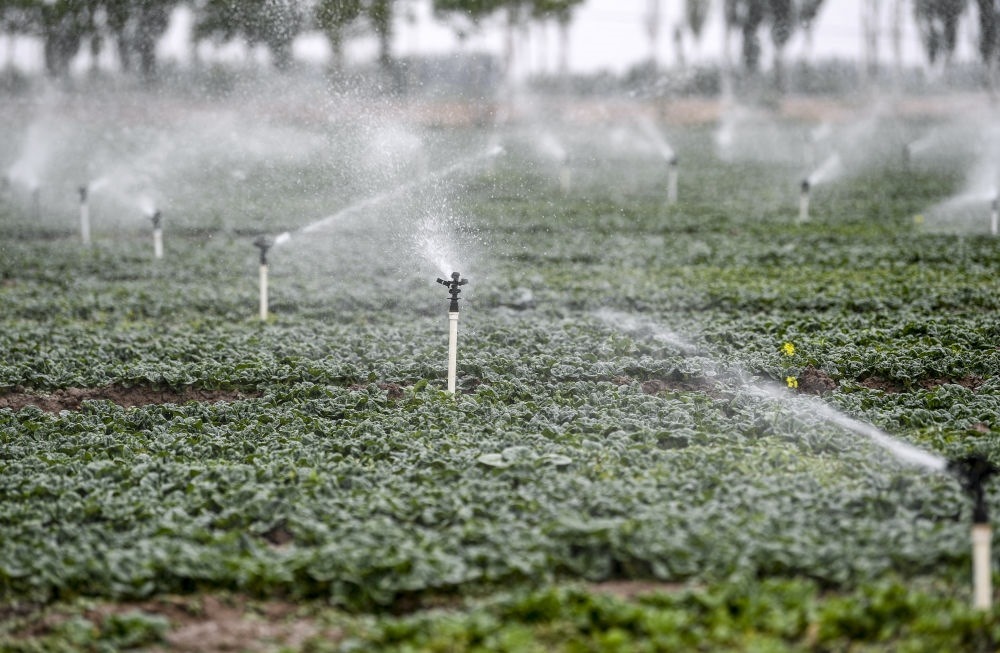 2023年5月25日，在寧夏銀川市永寧縣望洪鎮(zhèn)宋澄村冷涼蔬菜種植基地，小型噴灌節(jié)水設(shè)備在進(jìn)行噴灌作業(yè)。新華社記者 馮開(kāi)華 攝