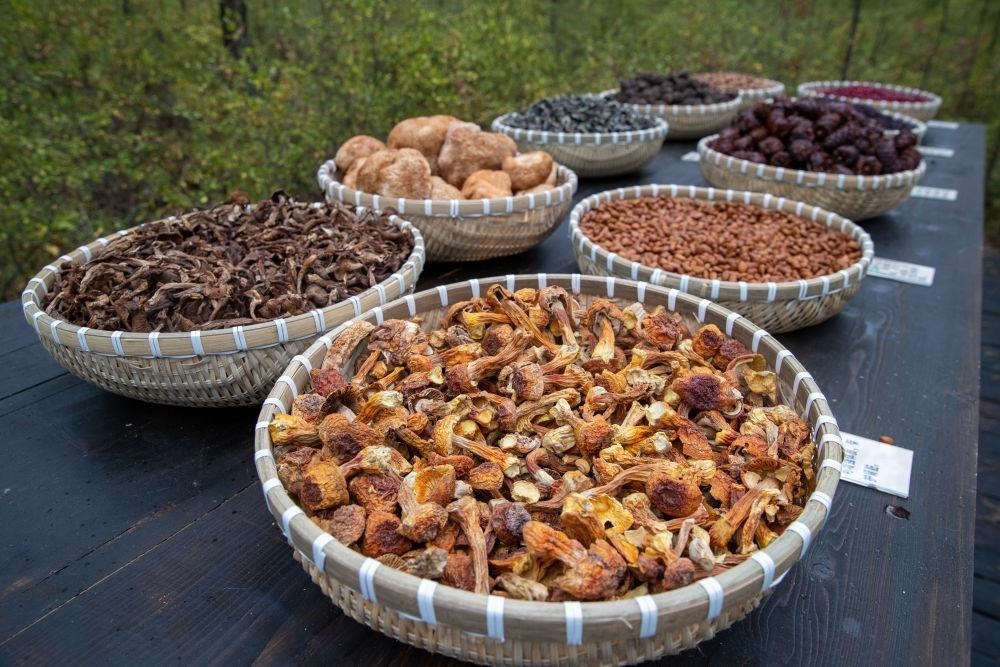 △近日，漠河市北極村一景區(qū)展示的林下產(chǎn)品。