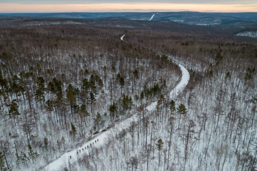 △2023年1月，漠河林場(chǎng)數(shù)十名職工自發(fā)組成的森林撫育隊(duì)伍，在人跡罕至的山林中作業(yè)。