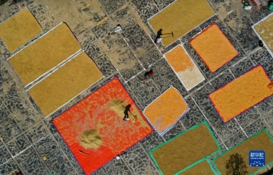 9月16日，貴州省黔東南苗族侗族自治州丹寨縣南皋鄉(xiāng)石橋村村民在晾曬農(nóng)作物（無人機照片）。