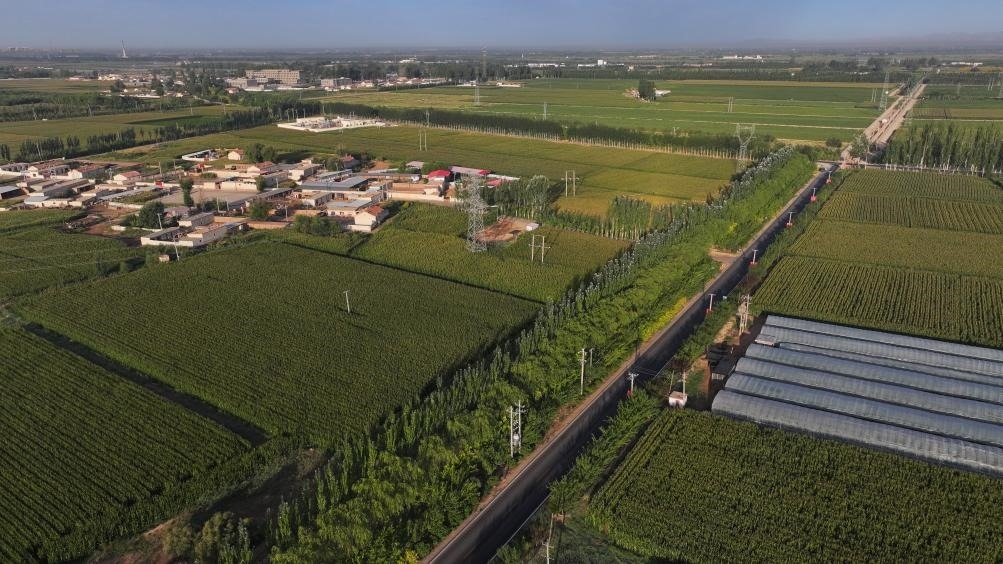 東興村周邊建起防護林網(wǎng)（無人機照片，2023年9月12日攝）。新華社記者李云平 攝