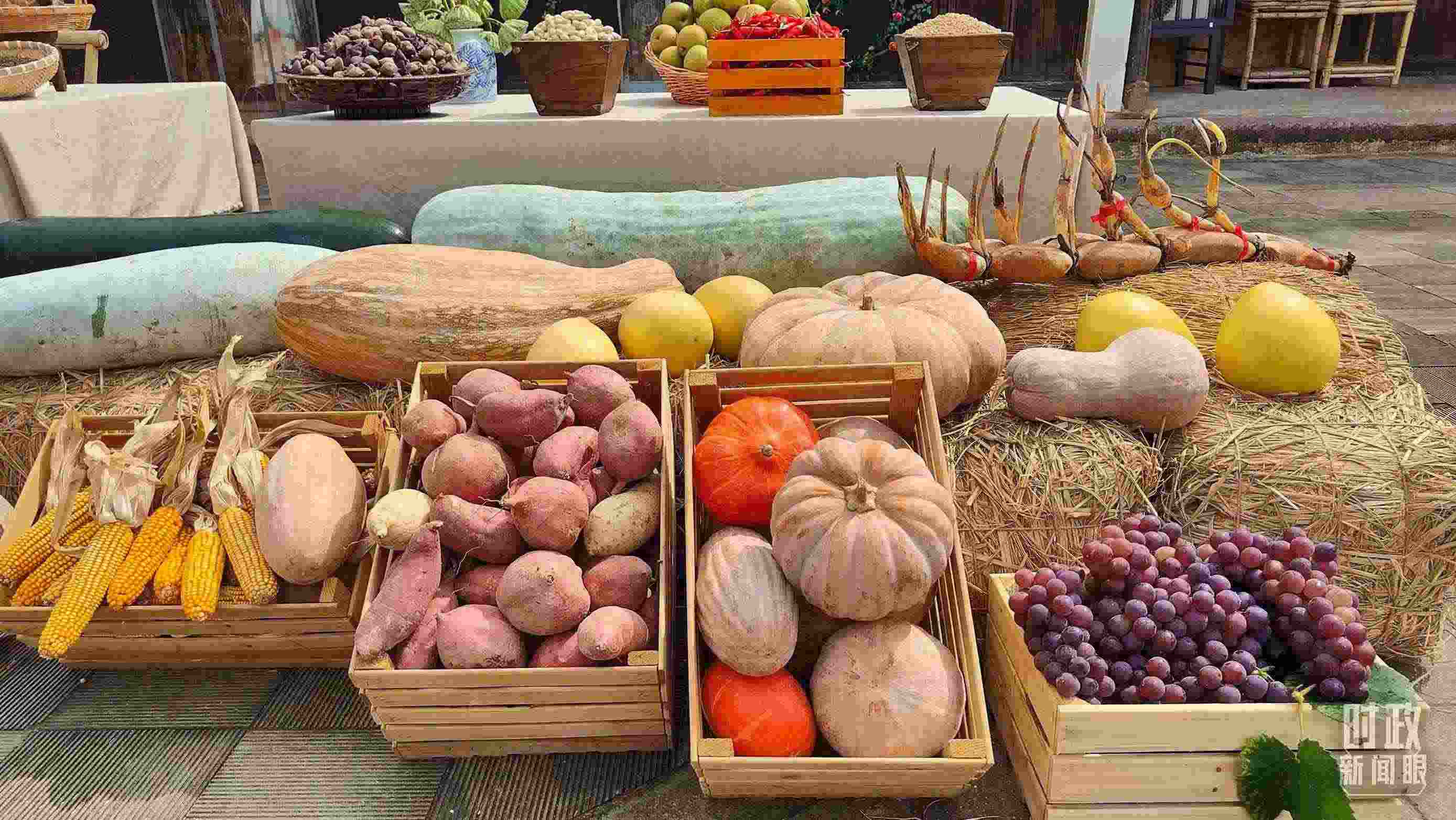 △村廣場“共富市集”，擺放著種類豐富的特色農(nóng)產(chǎn)品。（總臺央視記者楊立峰拍攝）