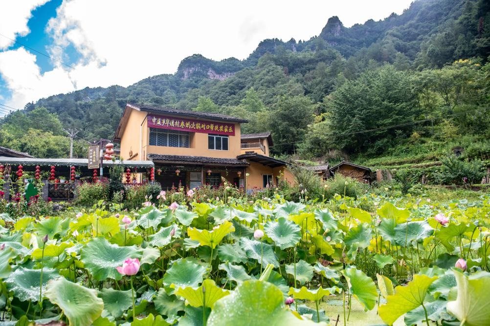 這是8月28日拍攝的華溪村村民開設(shè)的農(nóng)家樂外景。新華社記者 唐奕 攝