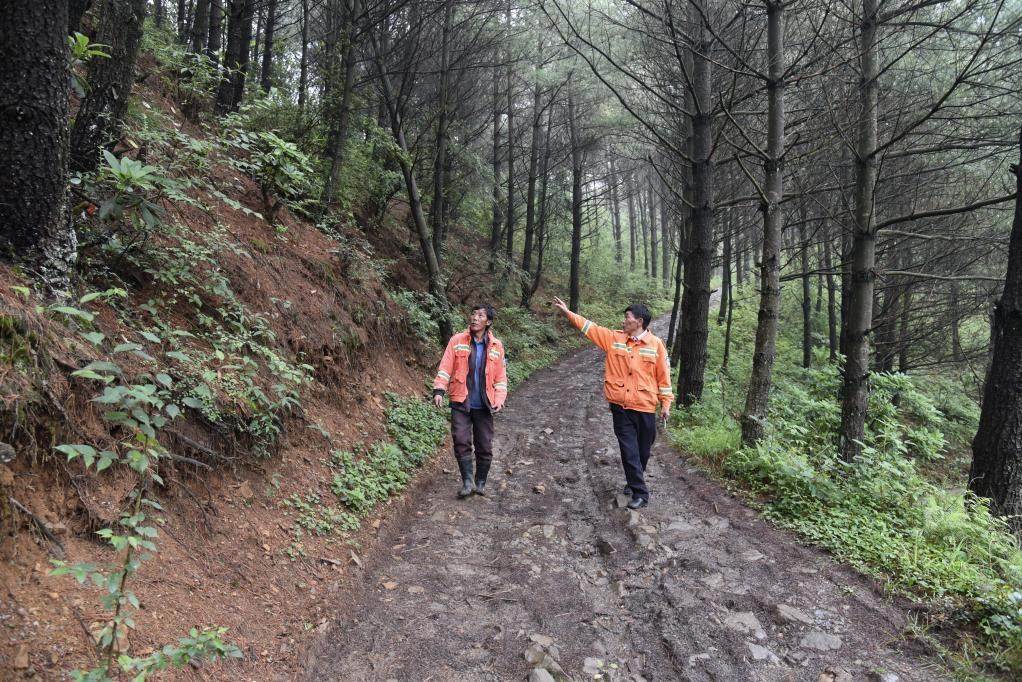 海雀村生態(tài)護(hù)林員馬正安（左）和海雀村林管員王光德（右）在日常巡山護(hù)林。新華社記者 李凡 攝