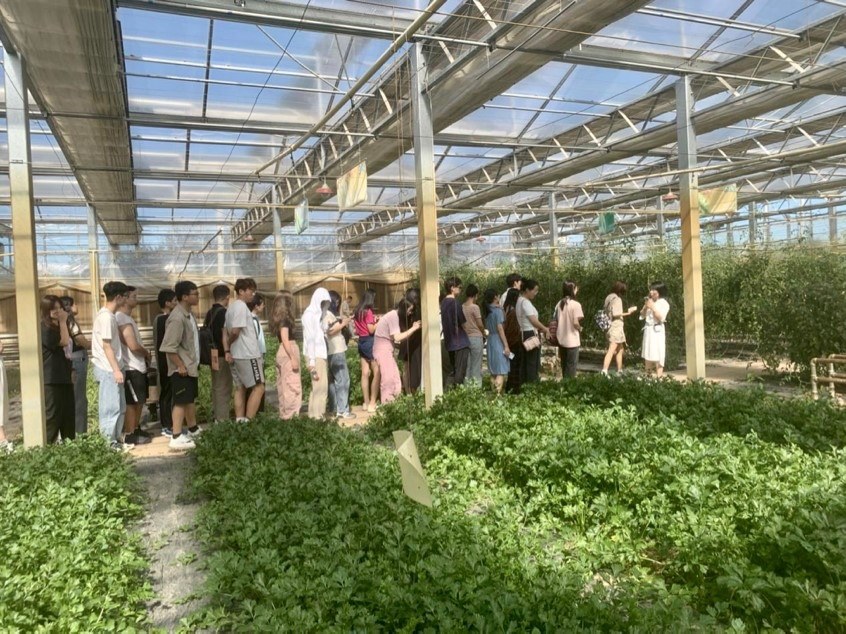 記者團(tuán)參觀國信現(xiàn)代農(nóng)業(yè)基地 了解現(xiàn)代化溫室建設(shè)及其配套設(shè)施的設(shè)計生產(chǎn)理念 中國農(nóng)業(yè)大學(xué)勾琳萱 攝