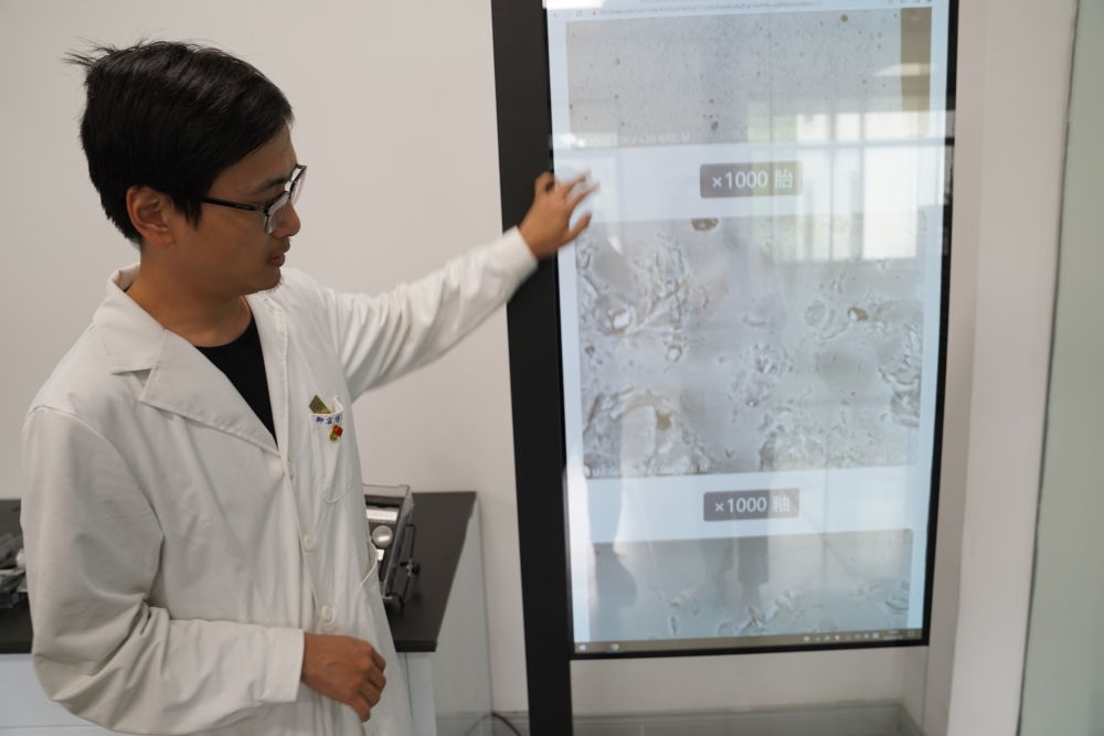 ↑ 工作人員展示瓷片標(biāo)本的配方研究數(shù)據(jù)（2023年5月16日攝）。