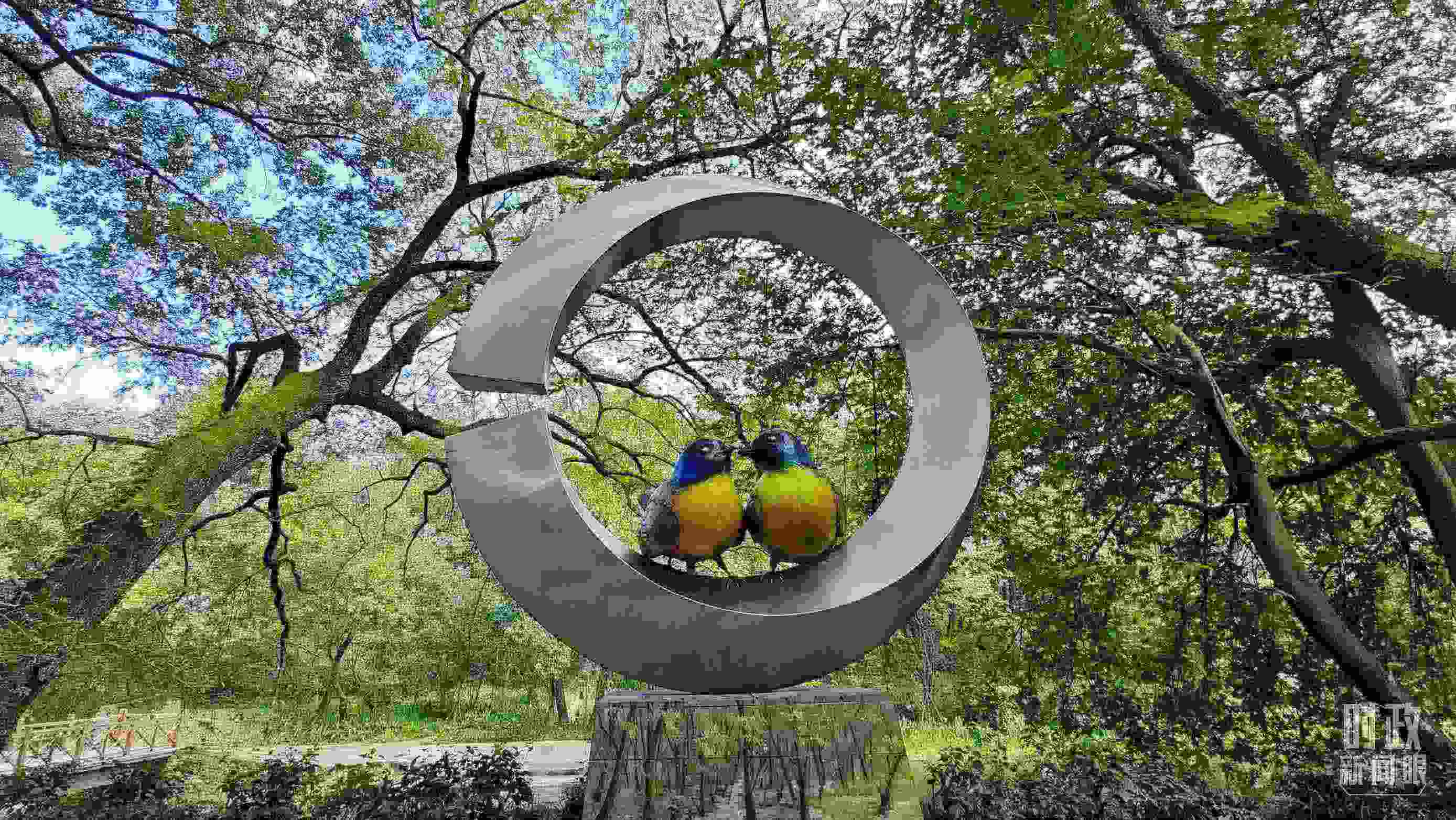 △石門村里的藍(lán)冠噪鹛雕像。（總臺(tái)央視記者許永松拍攝）