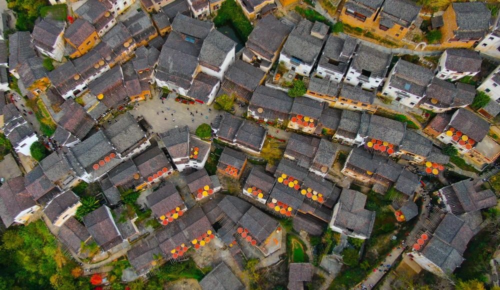 這是婺源縣江灣鎮(zhèn)篁嶺村的曬秋景象（2019年11月7日攝）。