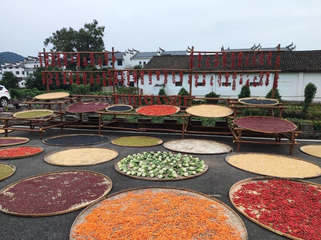 近日，江西省上饒市婺源縣秋口鎮(zhèn)王村村民晾曬的農(nóng)作物。新華社記者 劉佳敏 攝