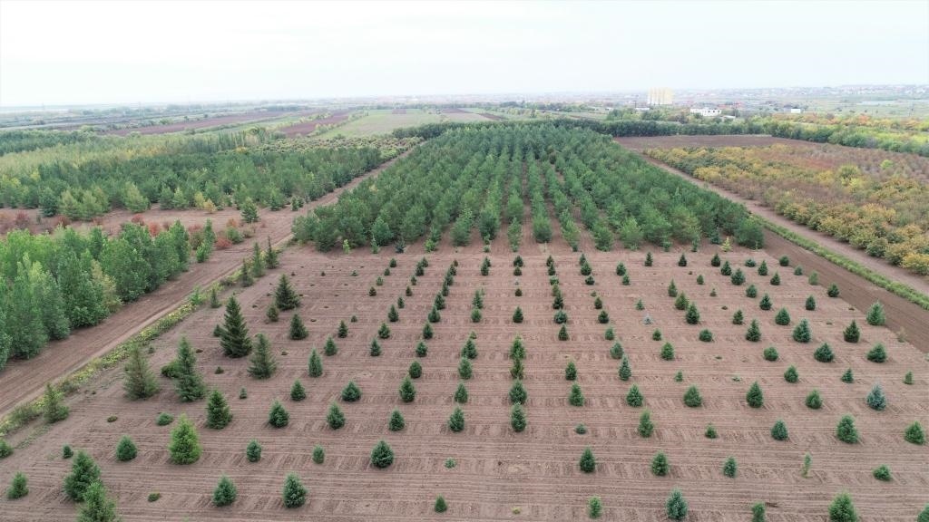 這是2023年9月11日在哈薩克斯坦首都阿斯塔納拍攝的一處植物種質(zhì)資源苗圃（無(wú)人機(jī)照片）。新華社發(fā)（法爾哈特·圖克諾夫 攝）