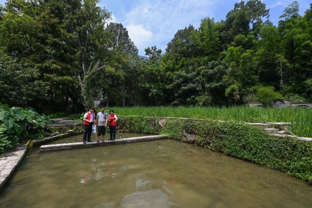 2023年8月17日，浙江省麗水市青田縣方山鄉(xiāng)田魚(yú)養(yǎng)殖戶吳勇強(qiáng)（中）在接受青田農(nóng)商銀行“小蜻蜓”服務(wù)隊(duì)志愿者提供的“惠民易貸”上門(mén)服務(wù)。近年來(lái)，青田縣金融發(fā)展中心聯(lián)合各個(gè)金融機(jī)構(gòu)優(yōu)化配套鄉(xiāng)村振興金融服務(wù)，推出“惠民易貸”“農(nóng)家樂(lè)貸”等金融產(chǎn)品，重點(diǎn)支持涉農(nóng)龍頭企業(yè)及特色種養(yǎng)殖產(chǎn)業(yè)。新華社記者 徐昱 攝
