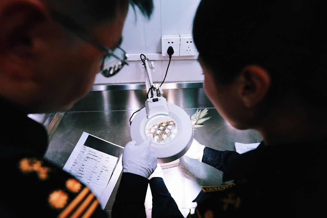 上海海關(guān)關(guān)員針對(duì)檢疫性有害生物和農(nóng)藥殘留進(jìn)行檢疫檢驗(yàn)。陳興洲攝