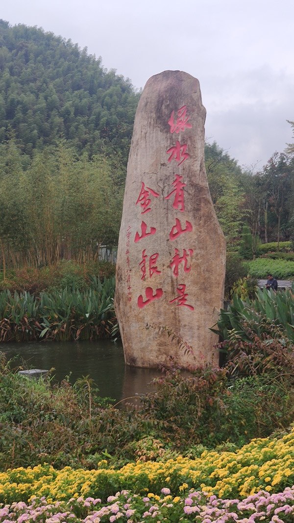 世界互聯(lián)網(wǎng)大會首批全球青年領軍者赴浙開展調(diào)研