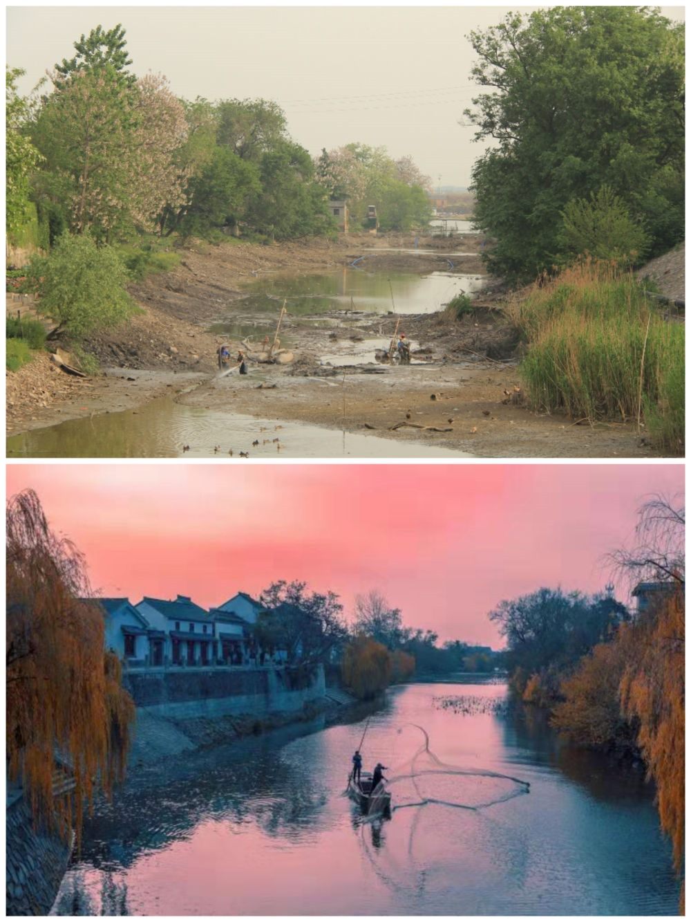 江蘇省揚州市江都區(qū)明清運河故道整治前后。（上圖：2012年；下圖：2020年）（孫友定 攝）