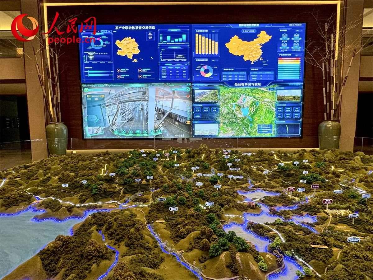 品品香白茶產(chǎn)業(yè)園信息中心數(shù)智化大屏。人民網(wǎng)記者 劉微攝