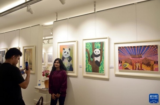 11月22日，在孟加拉國達(dá)卡，人們在“國家印象”繪畫展上參觀拍照。新華社發(fā)（薩利姆攝）