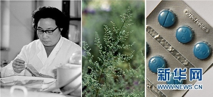 屠呦呦、青蒿和抗瘧疾成藥（拼版資料照片）