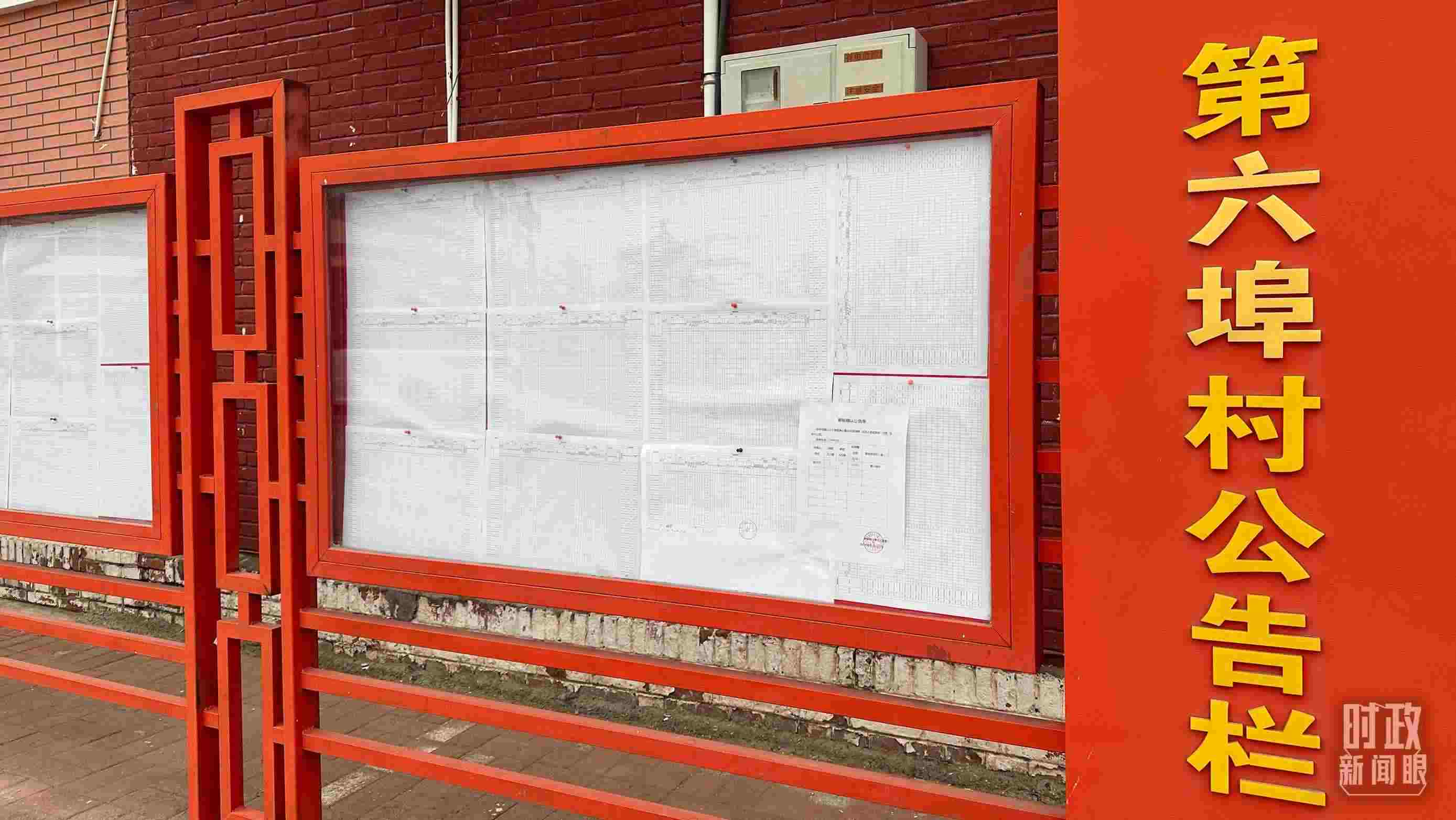 △第六埠村公告欄里張貼著“天津市2023年蓄滯洪區(qū)農(nóng)作物、經(jīng)濟林補償標準表”等。（總臺央視記者覃思拍攝）