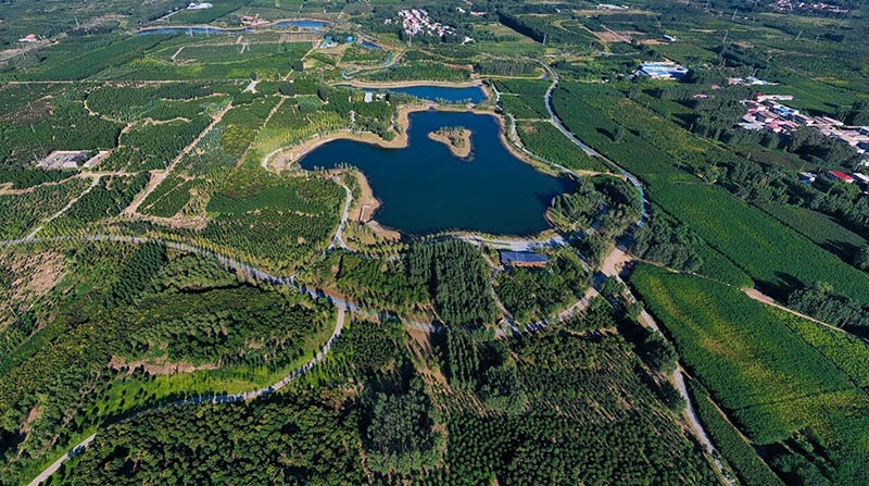 這是2022年9月6日拍攝的雄安新區(qū)“千年秀林”。