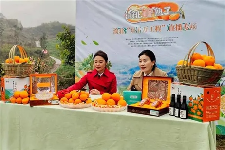 2021年2月26日，在重慶渝北區(qū)大盛鎮(zhèn)青龍村舉辦的直播活動(dòng)現(xiàn)場(chǎng)。