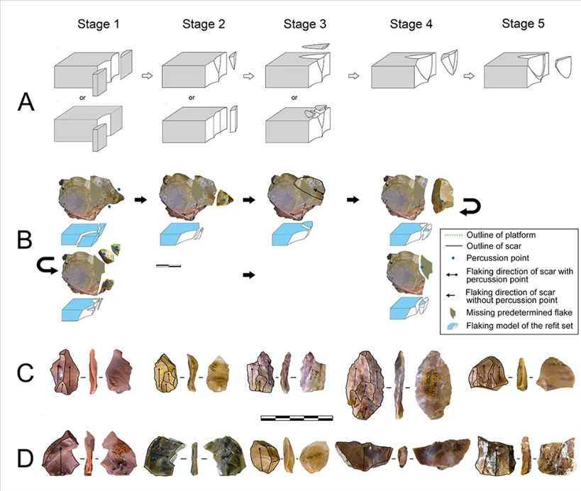 岑家灣遺址“準(zhǔn)備石核技術(shù)”及相關(guān)石制品。（受訪單位供圖）