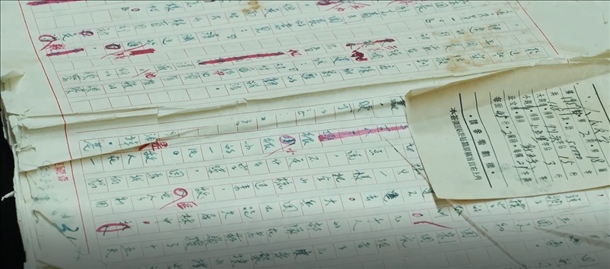 曲波《林海雪原》手稿。主辦方供圖