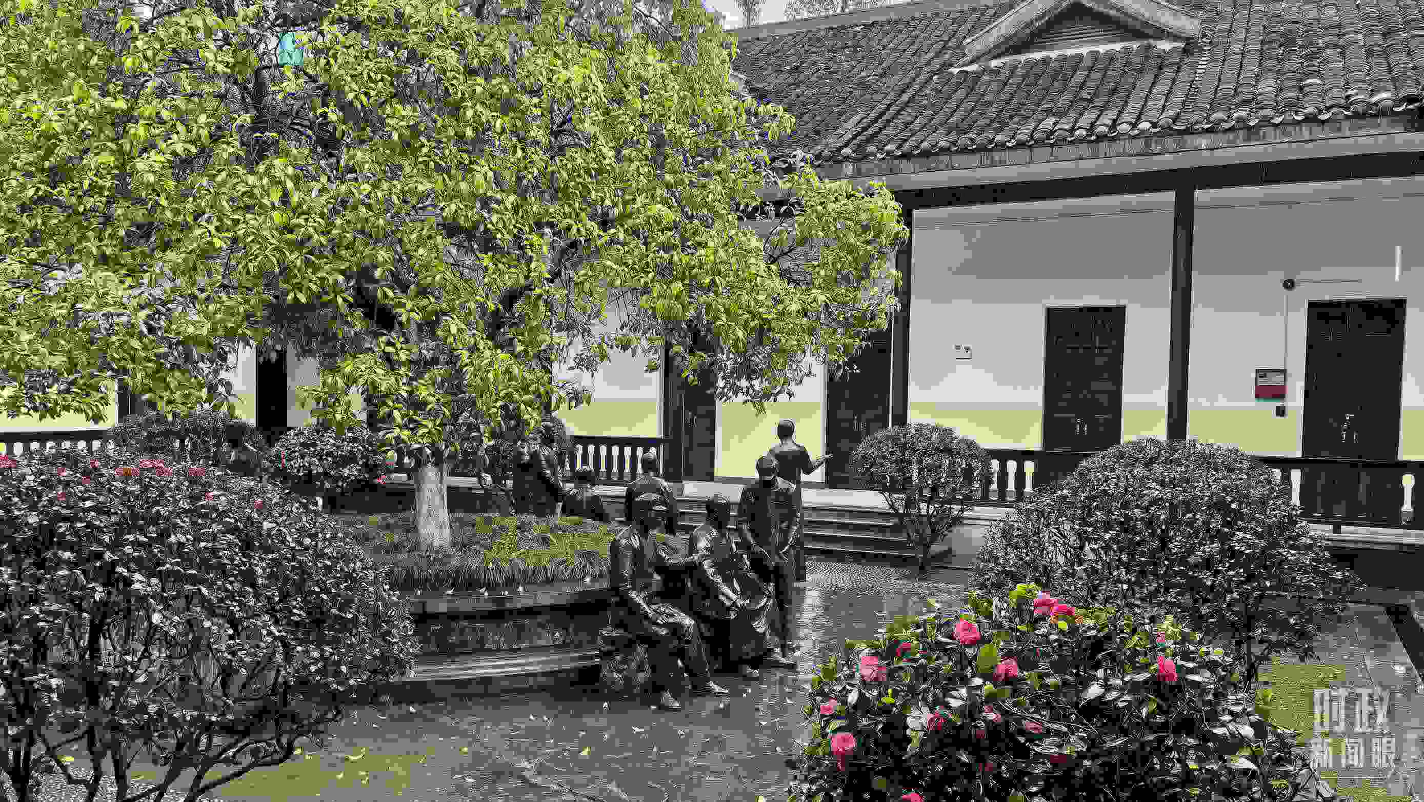 △湖南第一師范學院（城南書院校區(qū)）校園里。（總臺央視記者趙化拍攝）