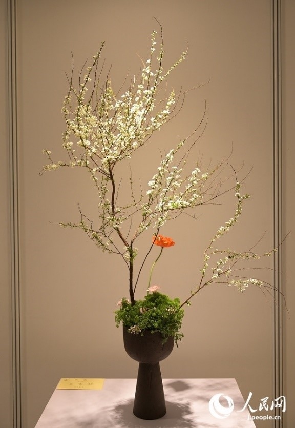 插花作品。人民網(wǎng) 玄番登史江攝