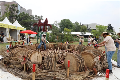 坎波·馬特活動(dòng)現(xiàn)場。埃內(nèi)斯托·多明戈斯攝