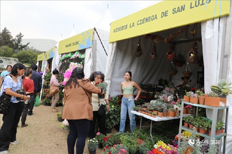 坎波·馬特活動(dòng)現(xiàn)場。埃內(nèi)斯托·多明戈斯攝