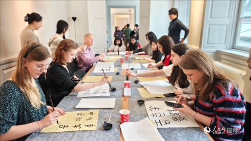 瑞典書法愛好者專心學(xué)習(xí)書法。人民網(wǎng)記者 殷淼攝