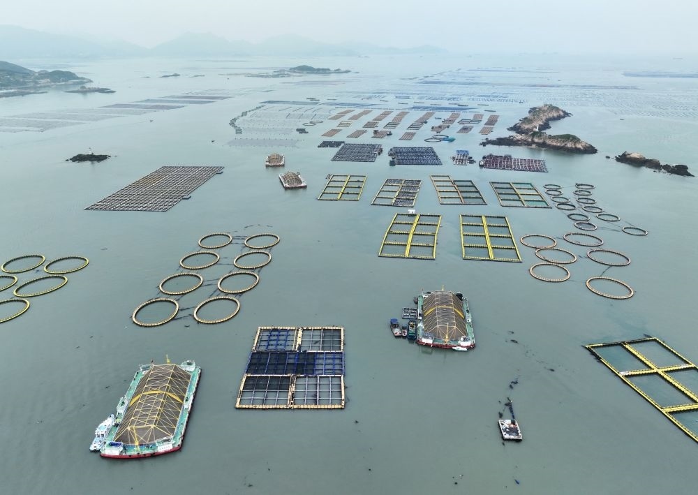 在福建連江定海灣海域，坐落著“定海灣1號”“定海灣2號”等深遠海養(yǎng)殖平臺（2024年5月7日攝，無人機照片）。新華社記者 林善傳 攝