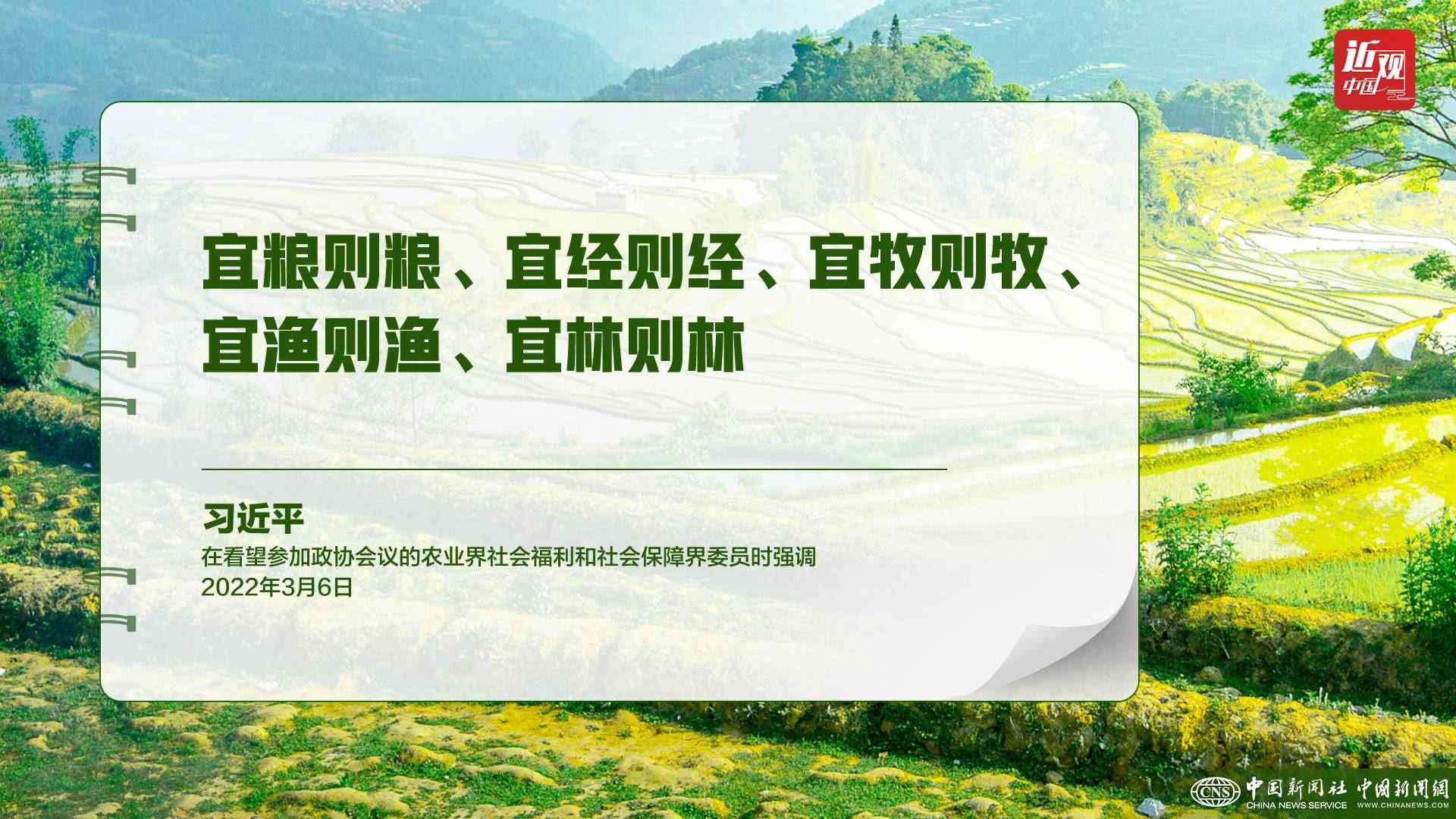 習(xí)近平：樹(shù)立大食物觀，構(gòu)建多元化食物供給體系