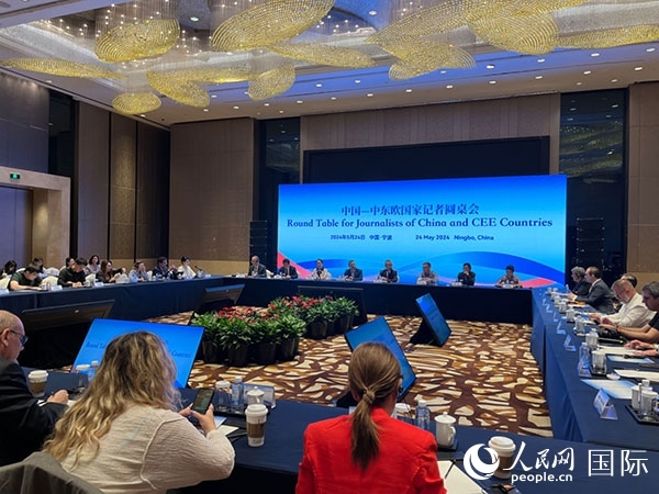 圓桌會現(xiàn)場。人民網(wǎng)記者 周輖攝