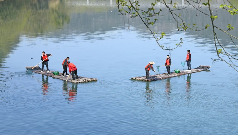 浙江省臺(tái)州市仙居縣步路鄉(xiāng)黨員志愿者與河長(zhǎng)一起在永安溪巡河護(hù)水，清理雜物垃圾（2024年3月20日攝）。新華社發(fā)（王華斌攝）