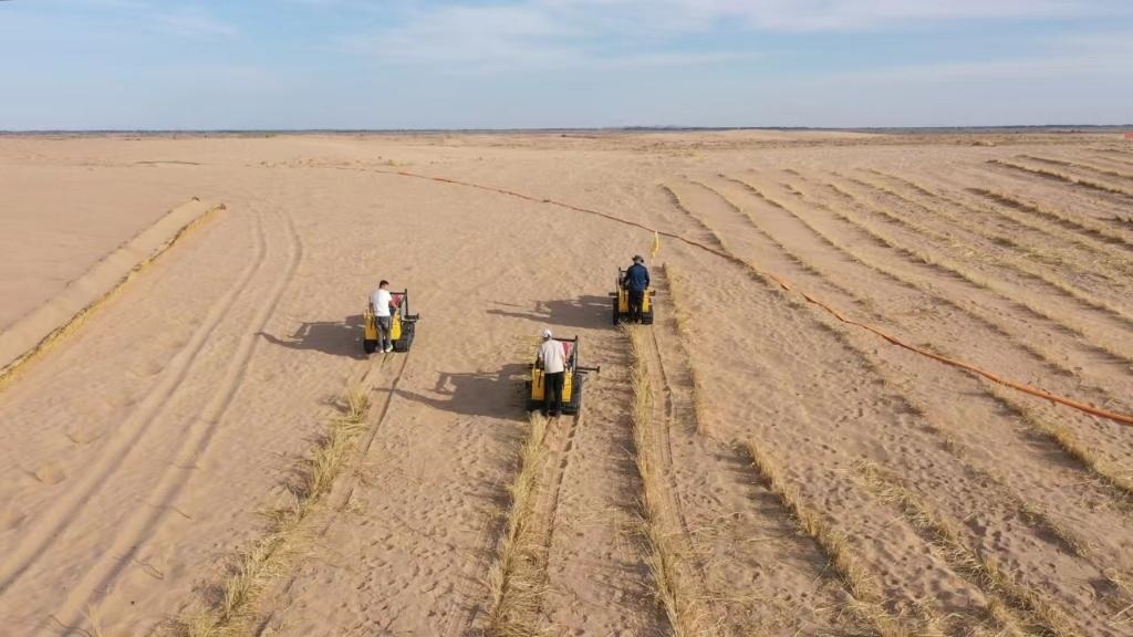 內(nèi)蒙古巴彥淖爾市烏拉特后旗西補(bǔ)隆林業(yè)管護(hù)中心職工駕駛機(jī)械鋪設(shè)壓沙障。新華社記者 李云平 攝