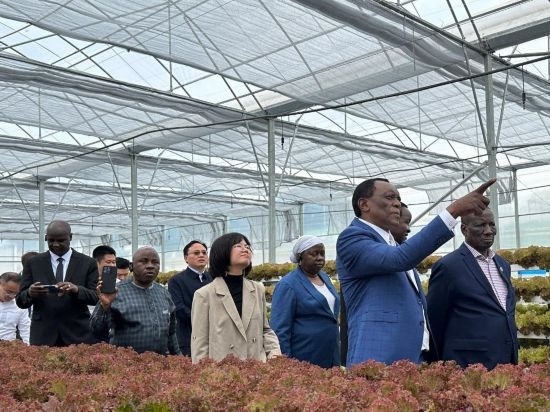 使節(jié)團(tuán)考察貴州省清鎮(zhèn)駱家橋蔬菜保供基地的無土栽培溫室。新華社記者 袁睿 攝