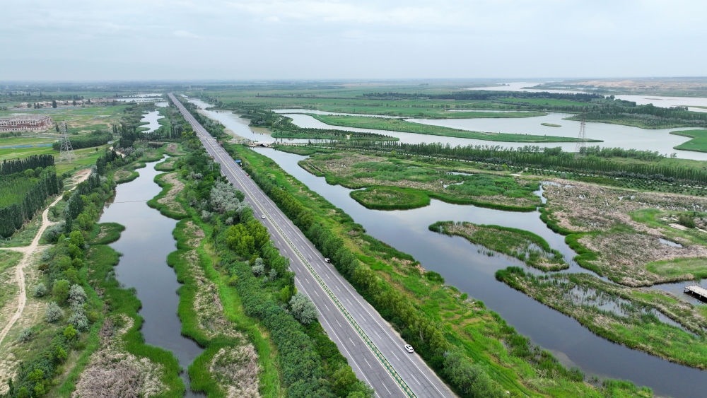 這是2024年6月13日拍攝的黃河寧夏段濱河大道（無(wú)人機(jī)照片）。近年來(lái)，寧夏努力建設(shè)黃河流域生態(tài)保護(hù)和高質(zhì)量發(fā)展先行區(qū)，全力打好黃河保護(hù)持久戰(zhàn)。新華社記者 王鵬 攝