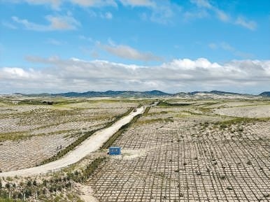 剛剛竣工的其白線(xiàn)穿沙公路。