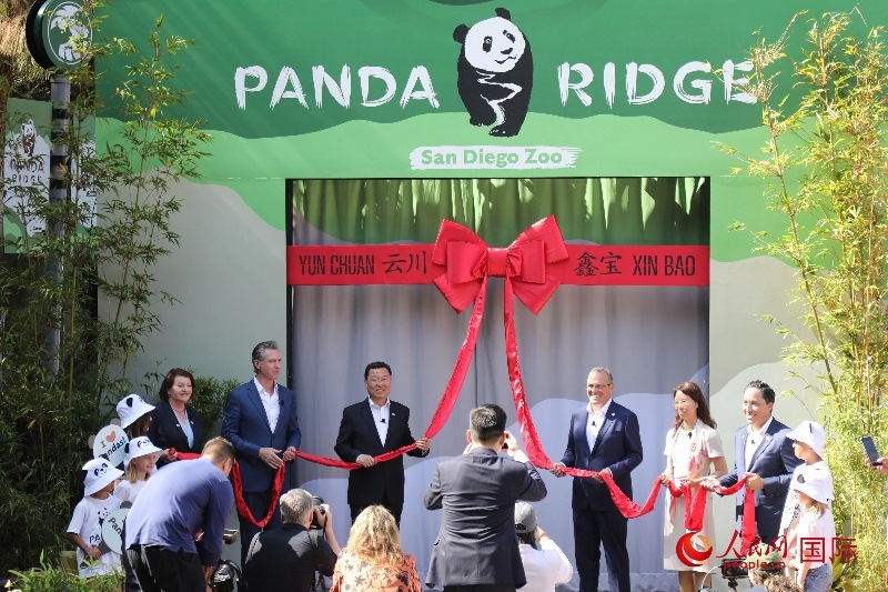 1、中國駐美國大使謝鋒、加州州長紐森、圣迭戈市市長格洛利亞等人共同為“熊貓嶺”開館剪彩。 人民網(wǎng)記者 李志偉攝