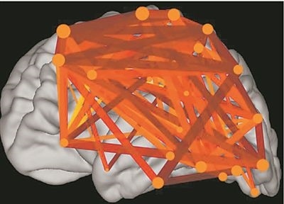 圖上的線條代表大腦皮層中與語言處理相關(guān)的各個區(qū)域之間的連接。當(dāng)閱讀時，這些區(qū)域的神經(jīng)元會以精確同步的方式激發(fā)，這種現(xiàn)象被稱為共同漣漪。圖片來源：加州大學(xué)圣迭戈分校