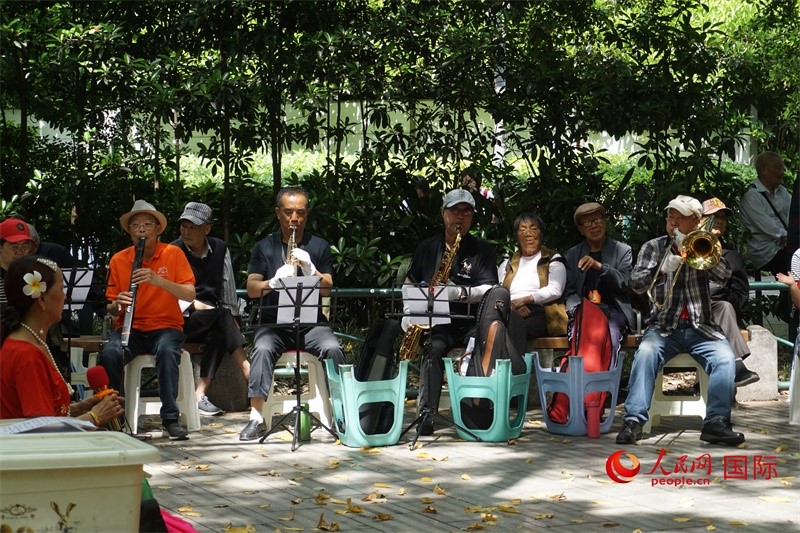 成都居民在公園里演奏歌曲。人民網(wǎng) 王禹蘅攝