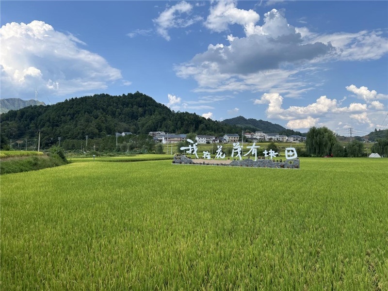 青瓦白磚的黔北民居、風(fēng)中搖曳的稻田、抬手可觸的大片云朵……才剛下車，格魯吉亞“經(jīng)濟(jì)中心網(wǎng)”總編輯莉安娜·喬爾喬利亞尼就被眼前的景色拖住了步履，喃喃細(xì)語：“實(shí)在太美了，讓我內(nèi)心平靜，在這里生活一定非常安逸和幸福?！保ㄇ褫x攝）