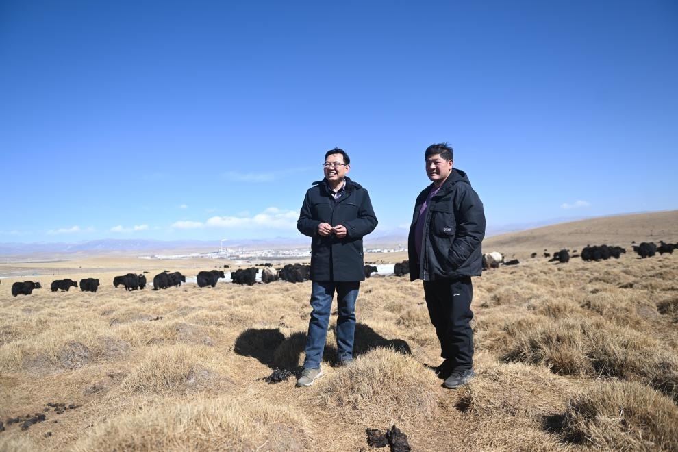 2023年2月24日，在青海省海北藏族自治州海晏縣青海湖鄉(xiāng)達玉日秀村，全國人大代表董全民（左）查看牧民東知布家的草場。新華社記者 張龍 攝