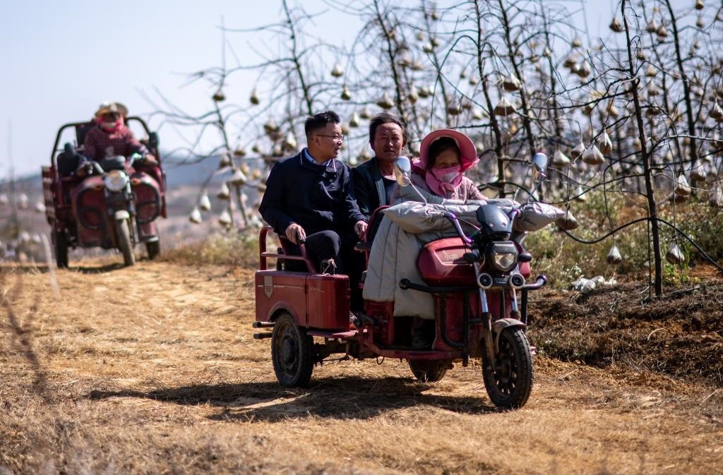 全國人大代表袁海波（右三）在云南省曲靖市馬龍區(qū)一種植基地了解務工人員就業(yè)需求（2023年2月11日攝）。新華社記者 江文耀 攝