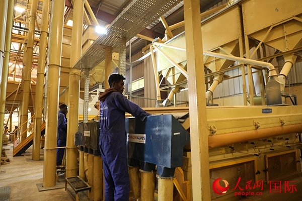 在Bule Hora咖啡加工廠里工作的當(dāng)?shù)毓と藗?。人民網(wǎng)記者 沈小曉攝