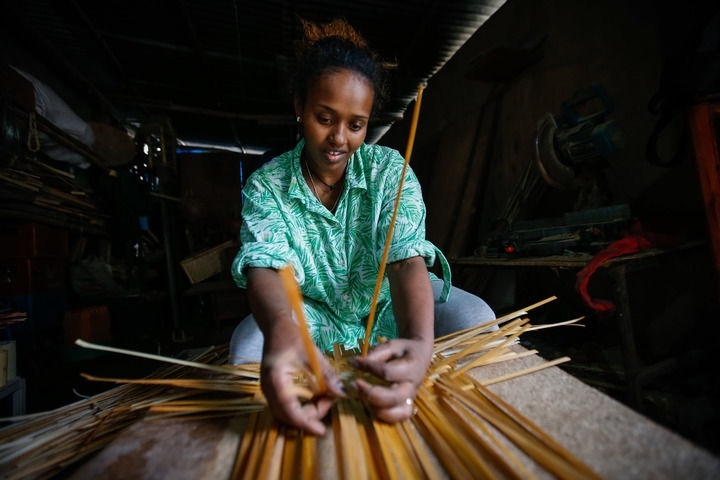2024年8月10日，菲基爾特·加布雷在埃塞俄比亞首都亞的斯亞貝巴名為“綠色金子”的竹藤工作室里加工竹制產(chǎn)品。新華社發(fā)（邁克爾·特韋爾德 攝）