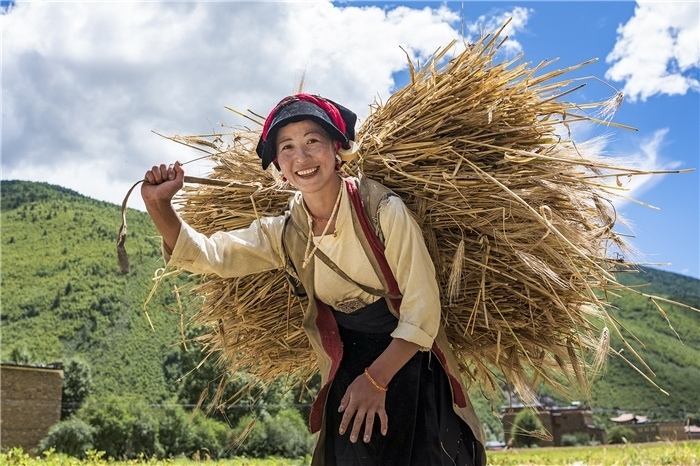康定市甲根壩鎮(zhèn)青稞豐收，農(nóng)牧民臉上洋溢著豐收的喜悅。林革文攝
