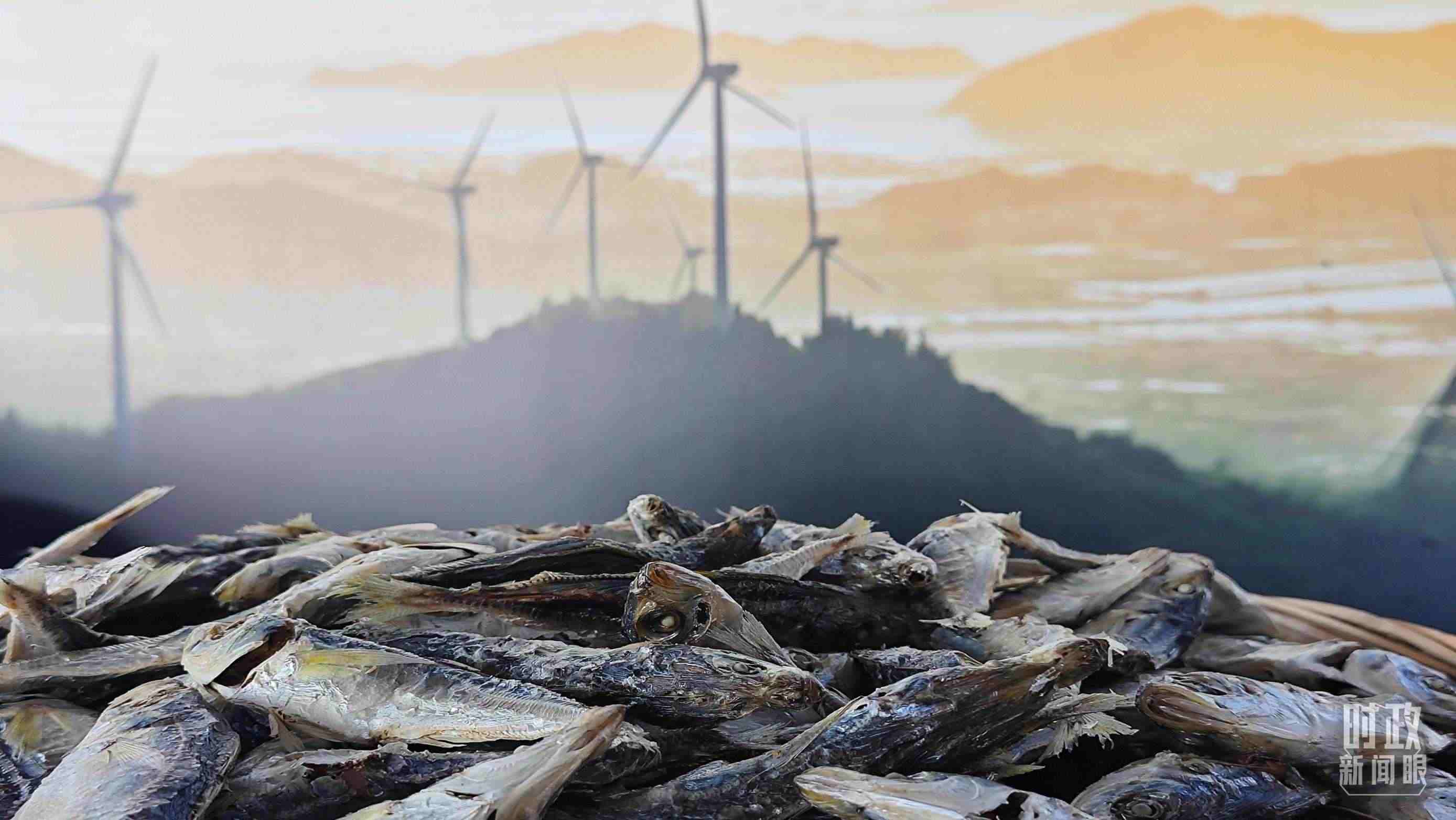 △澳角村的海產(chǎn)品。（總臺(tái)央視記者許永松拍攝）