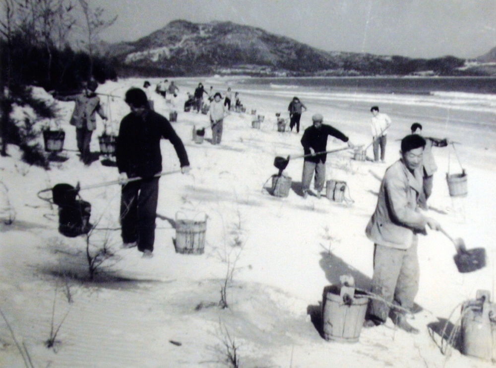 上世紀東山百姓在沙灘造林（資料照片）。
